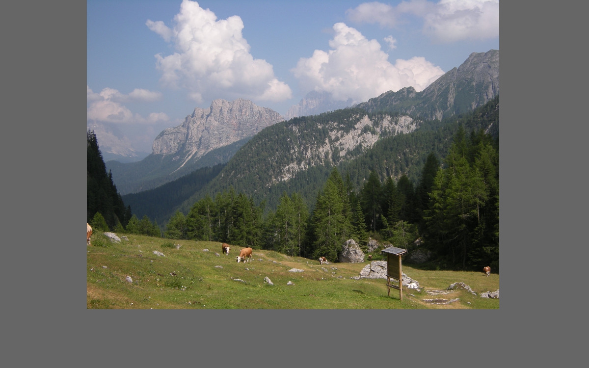 lorem ipsum dolor sit